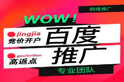 SEM竞价托管服务，成功案例展示转化成果